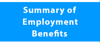 TERMS OF EMPLOYMENT button