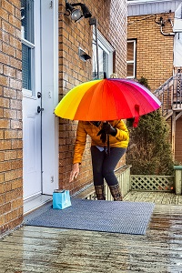 Umbrella crop