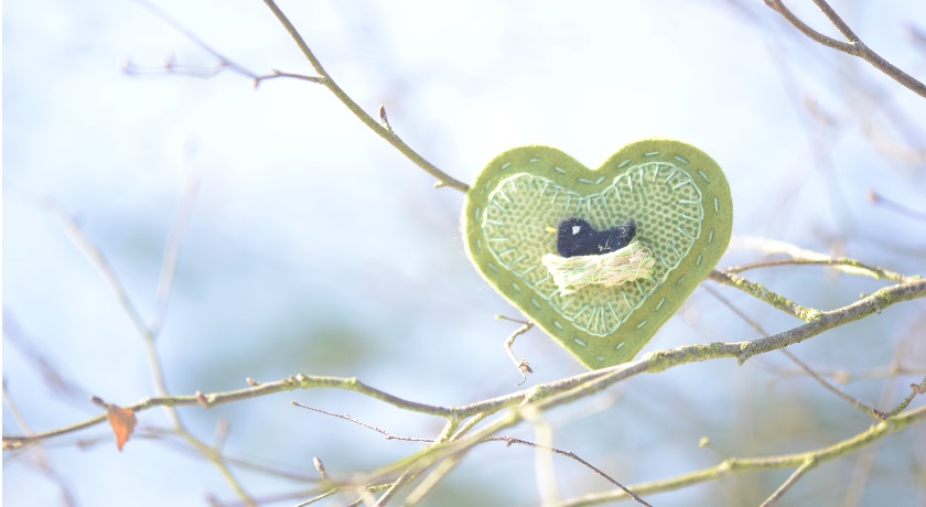 Green heart in tree credit The Climate Coalition